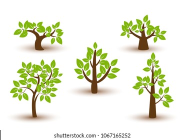 Beautiful tree vector  on a white background.