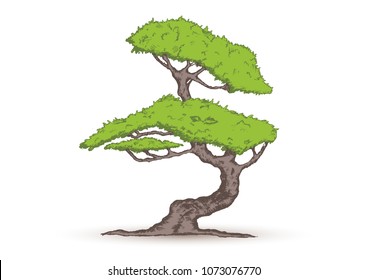 Beautiful tree Vector on a white background.
