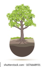 Beautiful tree Vector  on a white background.