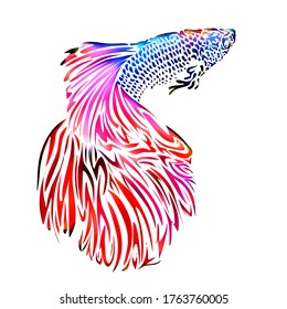 beautiful tribal vector  colorful betta fish with beautiful fins 