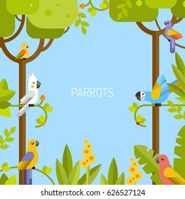 Beautiful tropical background. Jungle, parrots. Vector flat illustration