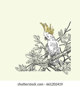 Beautiful tropical background with a parrot. Cockatoo sitting on the branches of a tree. Vintage style. Vector illustration.