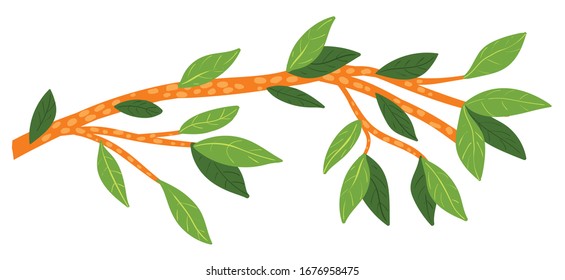 Beautiful tropical branch with leaves. Vector illustration isolated on white background
