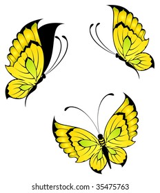 Beautiful tropical butterfly