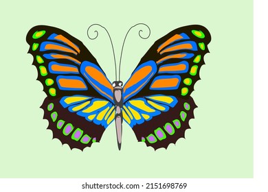 Beautiful tropical butterfly with colorful wings. On a light green background, top view. Illustration.