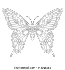 Beautiful tropical butterfly. Page of coloring book for adults and children, art therapy. Outline drawing, doodles. Vector illustration.