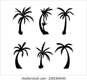 Beautiful tropical coconut palm tree silhouettes. Tropical palm tree. icon, logo, symbol, silhouette, and beach