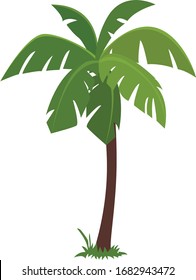 Beautiful Tropical Coconut Trees Illustration