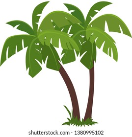Beautiful Tropical Coconut Trees Vector