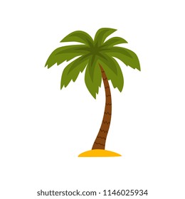 Beautiful tropical evergreen palm tree vector Illustration on a white background