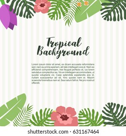Beautiful Tropical flower Background