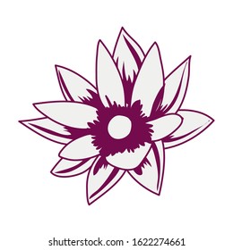 beautiful and tropical flower garden vector illustration design