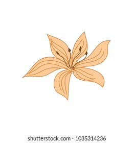 Beautiful Tropical Flower Hand Drawn Illustration