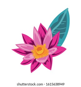 beautiful and tropical flower with leaf plant vector illustration design