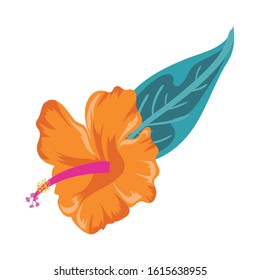 beautiful and tropical flower with leaf plant vector illustration design