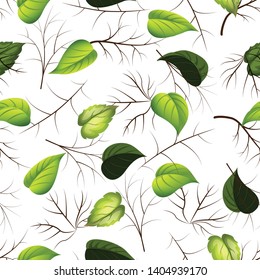 beautiful tropical flower leave with branches pattern