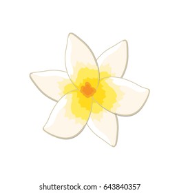 beautiful and tropical flower plants with petals