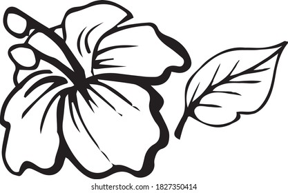 beautiful tropical flower vector. flora vector