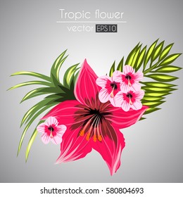 Beautiful tropical flowers bouquet isolated on a gray background
