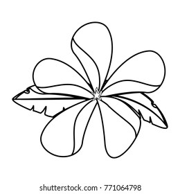 beautiful tropical flowers design 