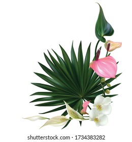 Beautiful tropical flowers. Palm leaves. White orchids. Lilies Floral background. Anthurium.