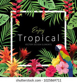 Beautiful tropical frame with macaw, guzmania and hibiscus flowers on black background. Vector set of blooming tropical floral for holiday's background, wedding invitations and greeting card design.