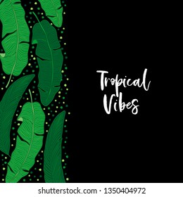 Beautiful tropical green palm leaves botanicals foliage background