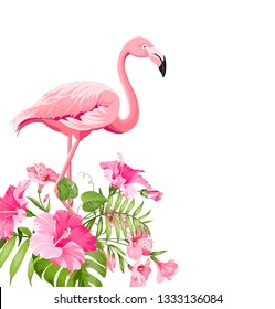 Beautiful tropical image with pink flamingo and plumeria flowers on a white backdrop. Exotic tropical palm tree. Flamingo background and jungle leaf. The Natural background.