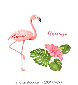 Beautiful tropical image with pink flamingo and plumeria flowers on a white backdrop. Exotic tropical palm tree. Flamingo background and jungle leaf in his beak. The Natural background.