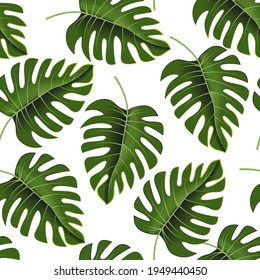 Beautiful tropical leaves, great design for any purposes. Tropical monstera leaf design wallpaper. Vector seamless pattern. Vector nature graphic background. Vector illustration