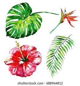 beautiful tropical palm leaves and flowers, watercolor