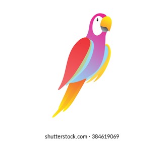 beautiful tropical parrot bird image