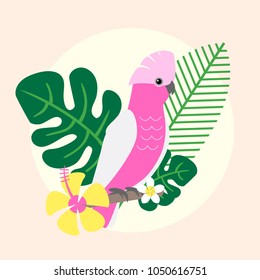 Beautiful tropical parrot vector illustration