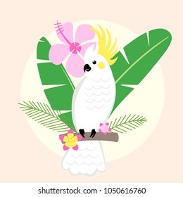 Beautiful tropical parrot vector illustration