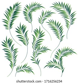 Beautiful tropical plant background illustration material,