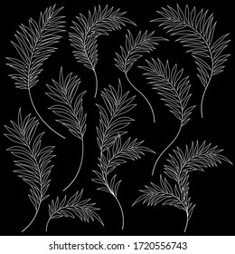 Beautiful tropical plant background illustration material,