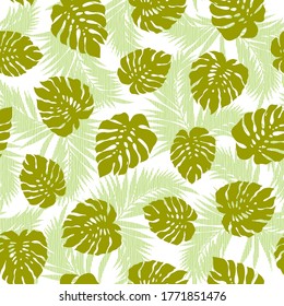 Hermosa planta tropical perfectamente ilustrada,