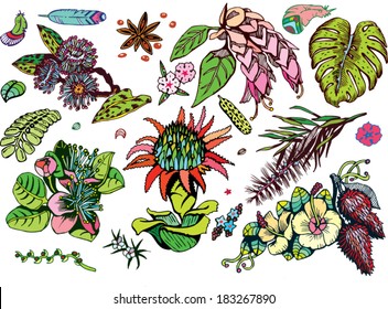 Beautiful Tropical Plants Collection (Colorful Vector EPS10 Doodles)