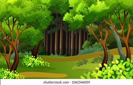 A Beautiful Tropical Rainforest Scene illustration