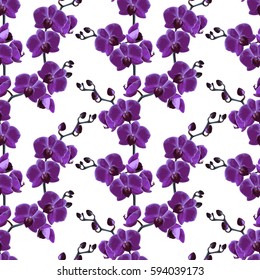 Beautiful tropical summer flowers bright background. Seamless branches pattern orchids. Vector illustration.