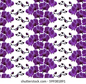 Beautiful tropical summer flowers bright background. Seamless branches pattern orchids. Vector illustration.