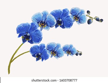 Beautiful tropical vintage blue orchid flower set floral background. Exotic jungle wallpaper.
