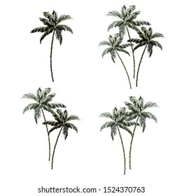 Beautiful tropical vintage coconut palm trees floral clip art. Exotic botanical print.
