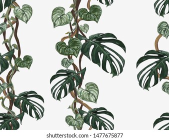 Beautiful tropical vintage floral seamless pattern with liana on the white background. Exotic jungle wallpaper