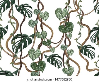 Beautiful tropical vintage floral seamless pattern with liana, monstera tropical leaves on the white background. Exotic jungle wallpaper