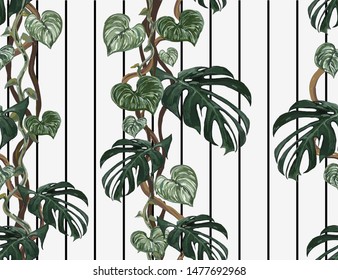 Beautiful tropical vintage floral seamless pattern with liana on the white background. Exotic jungle wallpaper