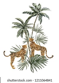 Beautiful tropical vintage illustration background with palm trees, leopard. Isolated on white  background. Exotic jungle wallpaper. 