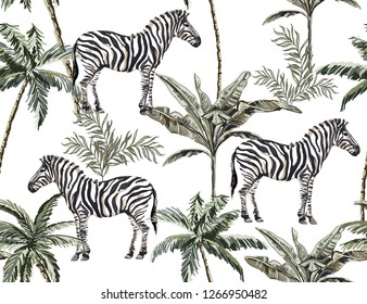 Beautiful tropical vintage illustration background with palm trees, banana trees,  zebra. Isolated on white background. Exotic jungle wallpaper. 