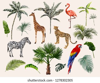 Beautiful tropical vintage illustration background with palm trees, leaves,  leopard, zebra, giraffe, parrot, flamingo. Isolated on white background. Exotic jungle wallpaper. 