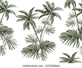 Beautiful tropical vintage seamless pattern  background with palm trees. Isolated on white background. Exotic jungle wallpaper. Perfect for wallpapers, web page backgrounds, surface textures, textile